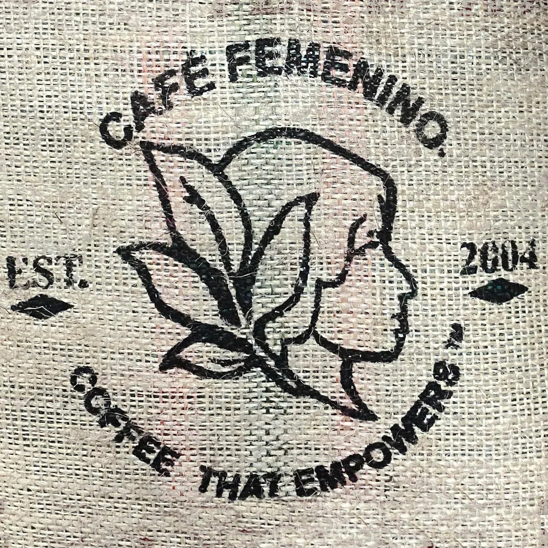 ☕ Coffee of the Month: Bolivia – Cafe Femenino