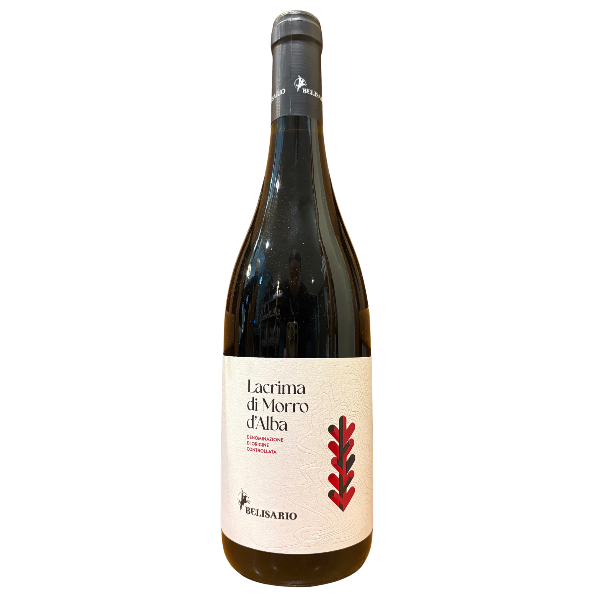 Lacrima Di Morro, Belisario