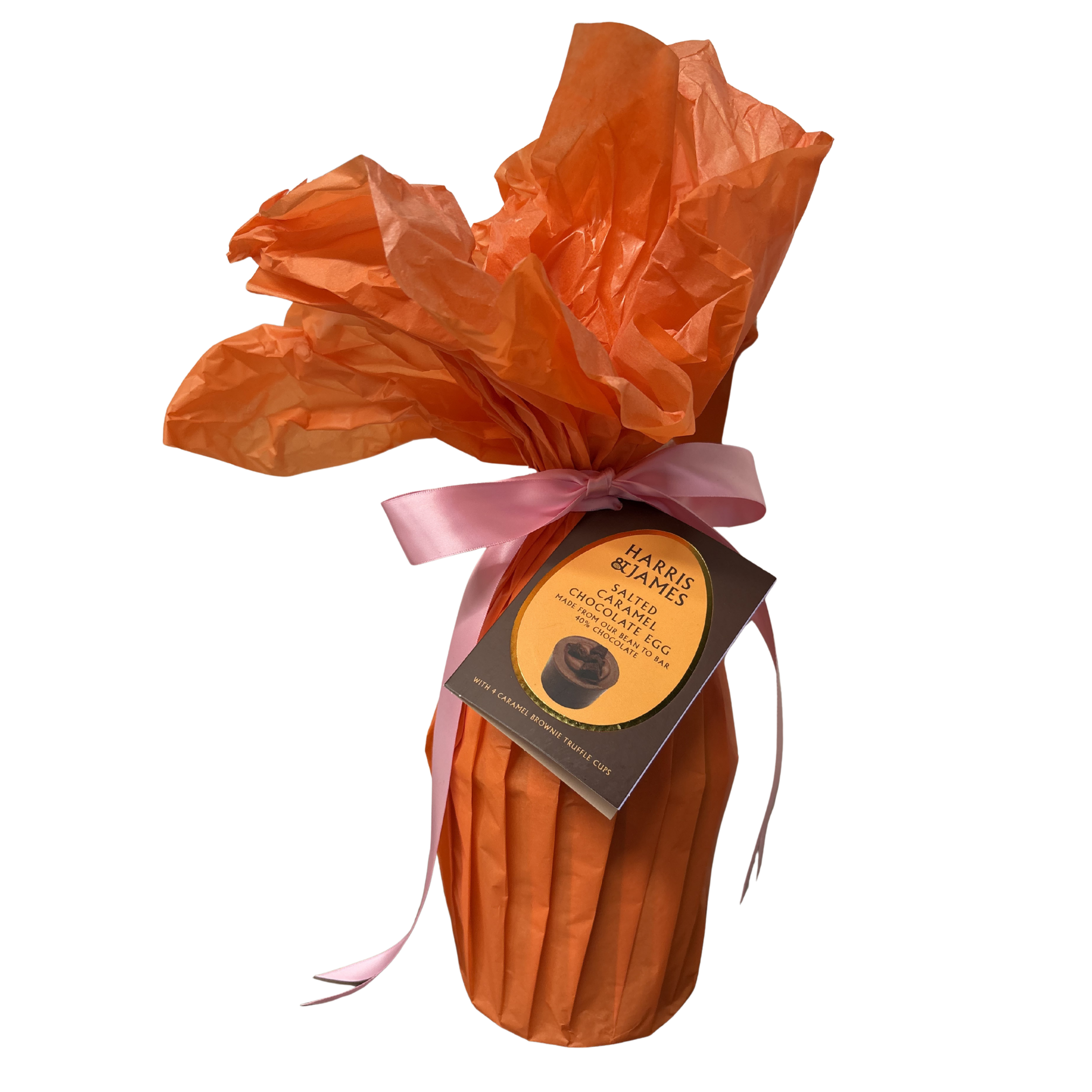 Harris & James Salted Caramel Choc Egg 260g