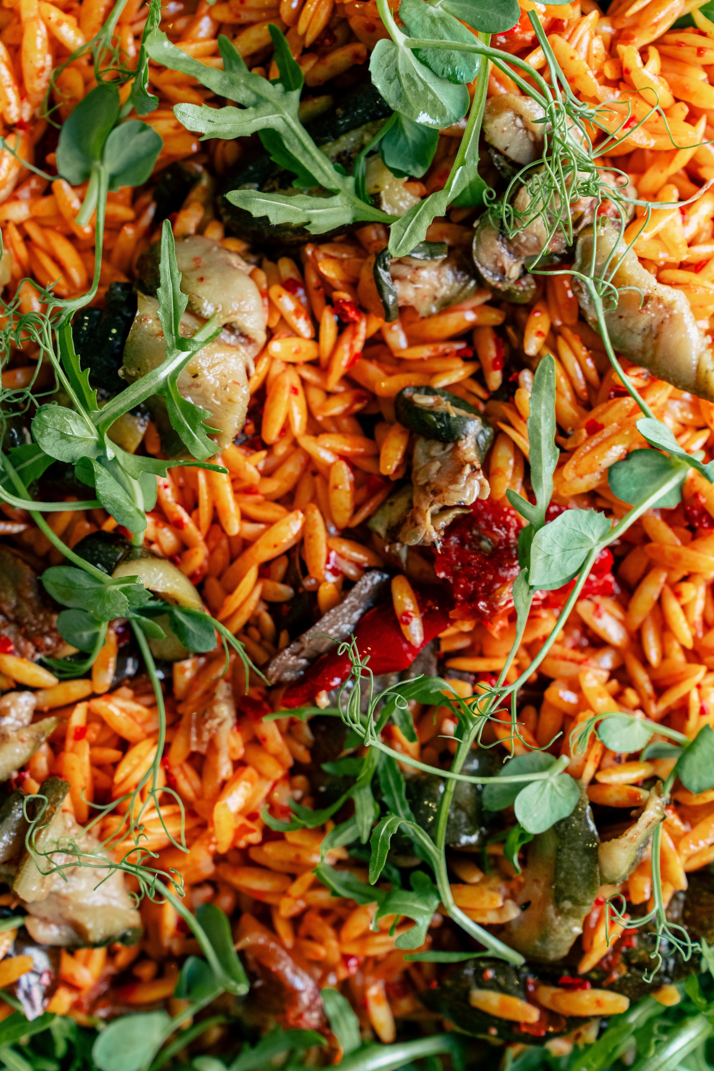 Salad Catering Menu