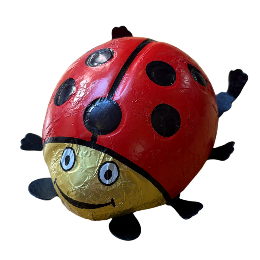 Foiled Chocolate Ladybird 80g