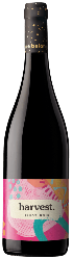 Unico Zelo, Harvest Pinot Noir